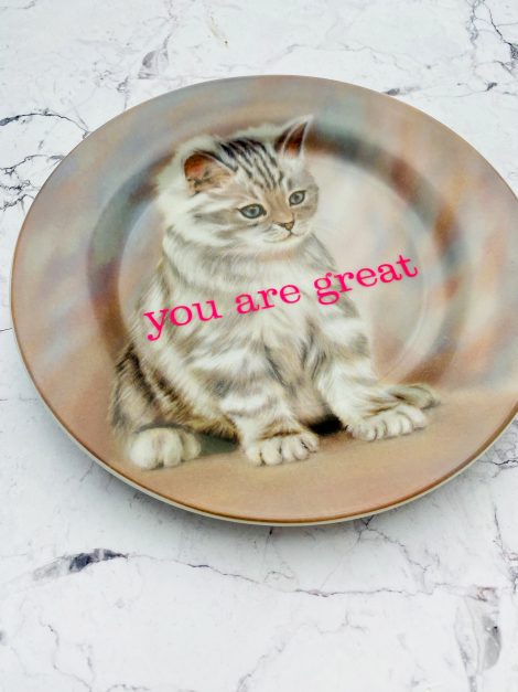 Wandteller you are great Herr Fuchs Katze neon vintage 19cm neonpink – Bild 2